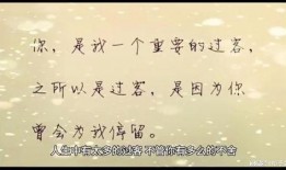 情感语录最新爆料文案,最新爆料，揭开心灵深处的故事