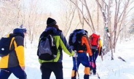 哈尔滨徒步爆料事件视频,真相与争议交织的徒步之旅